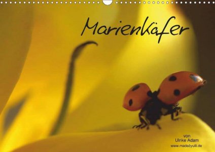Marienkäfer - Posterbuch