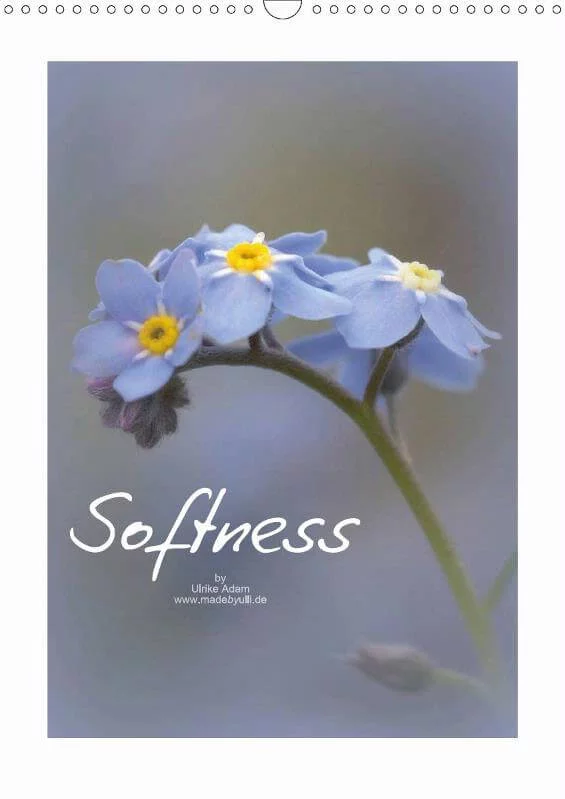 Softness - Calender