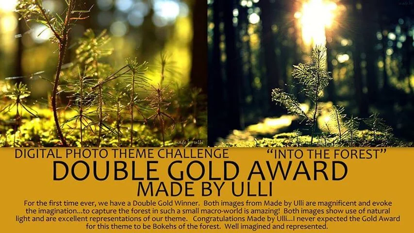 Double Gold Award made by Ulli