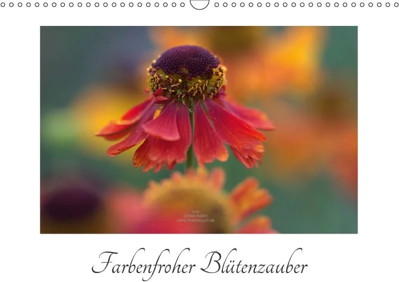 Farbenfroher Blumenzauber - Kalender