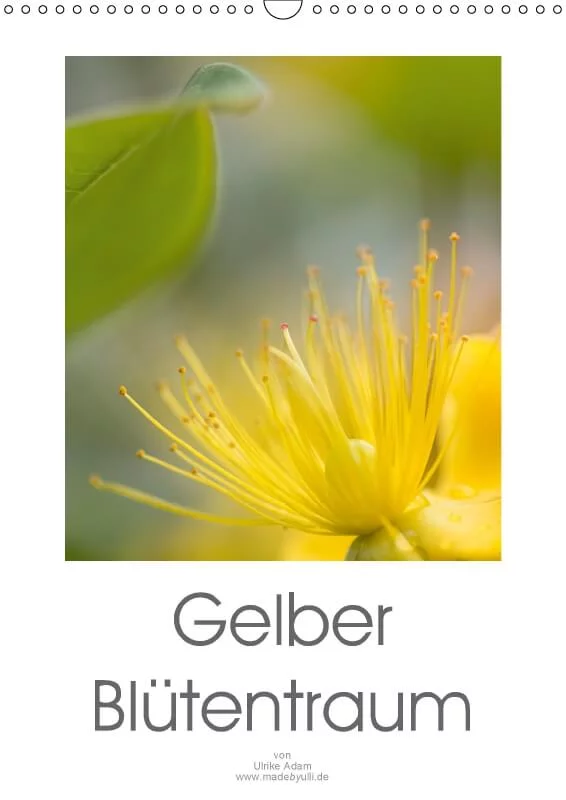 Gelber Blütentraum - Kalender