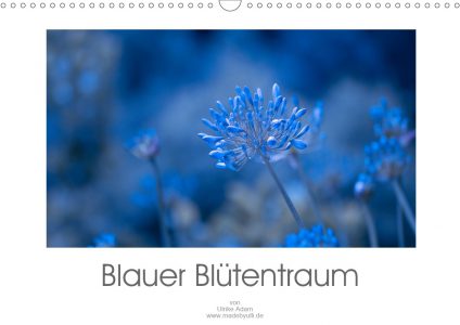 Blauer Blütentraum - Kalender