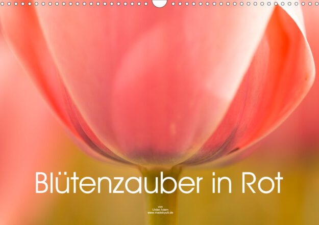 Blütenzauber in Rot - Geburtstagskalender