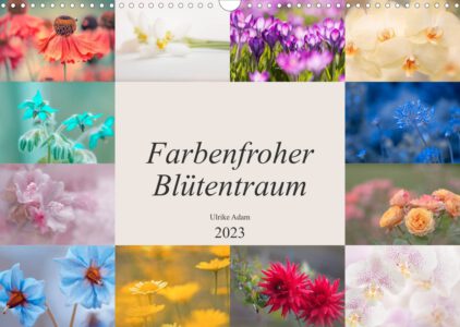 Farbenfroher Blütentraum - Kalender
