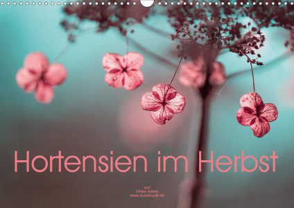 Hortensien im Herbst - Kalender