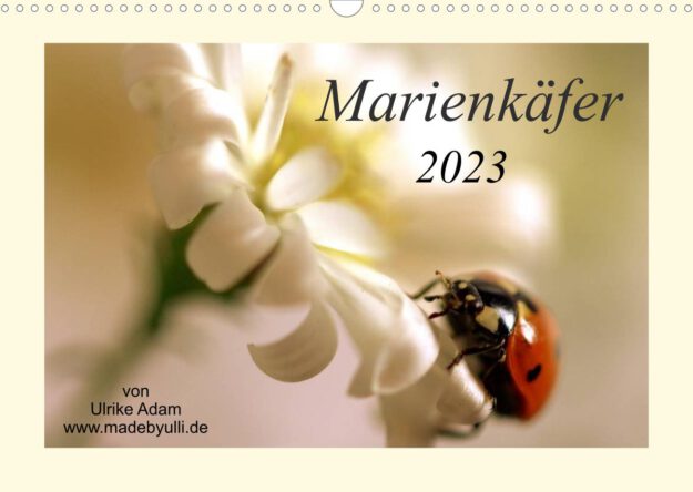 Marienkäfer - Kalender