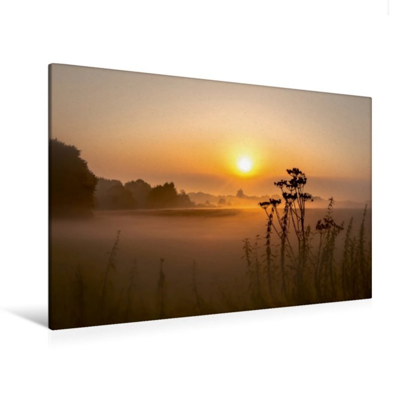 Nebel Impressionen in Wiste - Leinwand