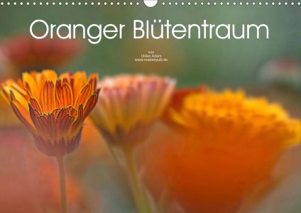 Oranger Blütentraum - Kalender