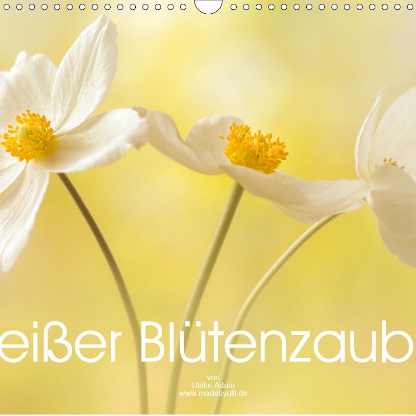 Weißer Blütenzauber - Kalender